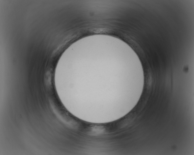 X0000115840214200912242023