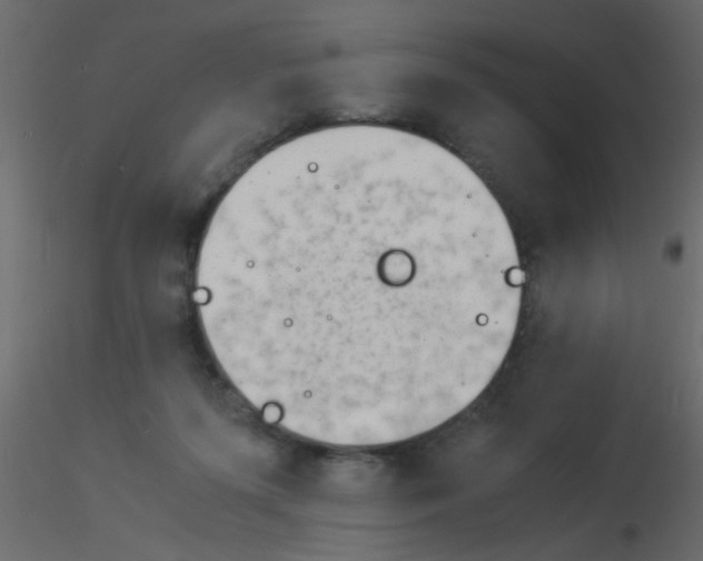 X0000115840215200912242023