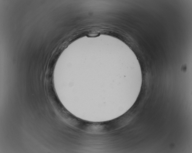 X0000115840217200912242023