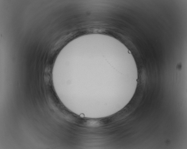 X0000115840218200912242023