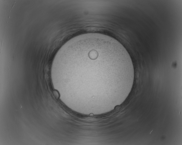 X0000115840219200912242023