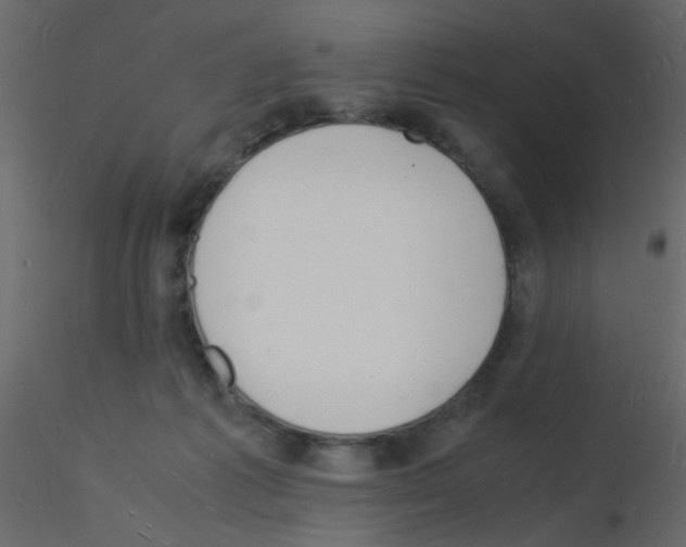 X0000115840221200912242023