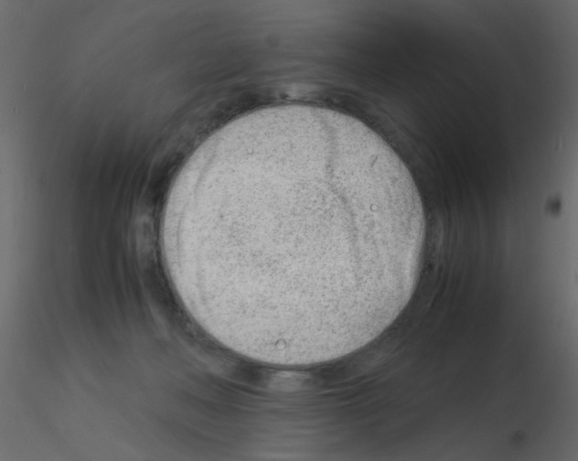 X0000115840222200912242023