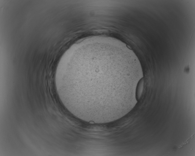 X0000115840223200912242023