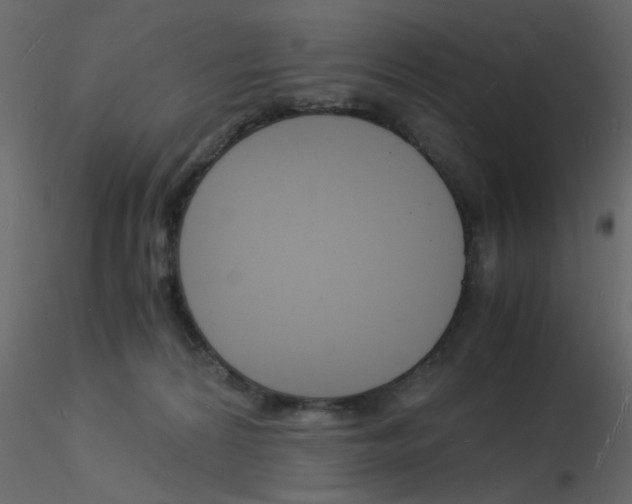 X0000115840224200912242023