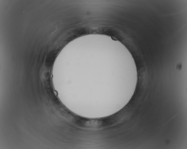 X0000115840225200912242023