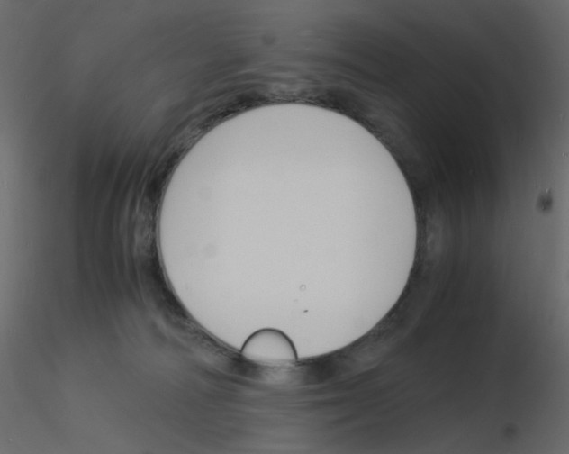 X0000115840226200912242023