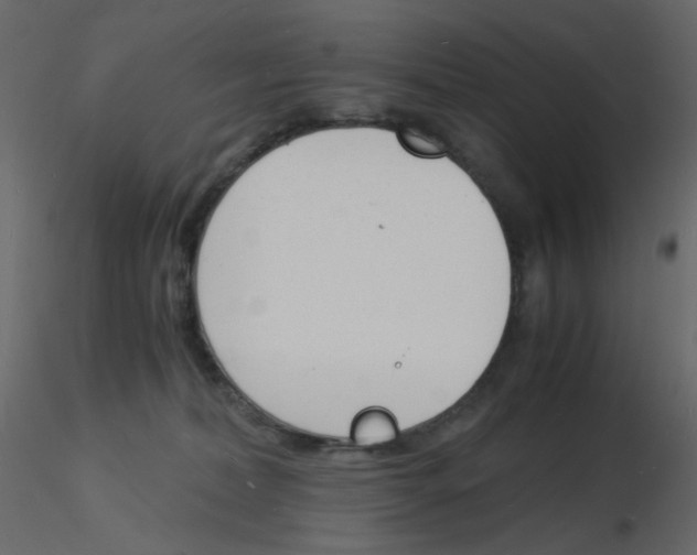 X0000115840228200912242023