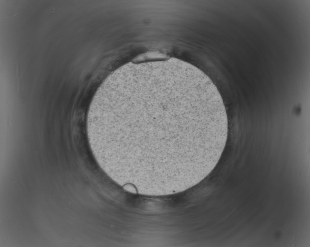 X0000115840229200912242023