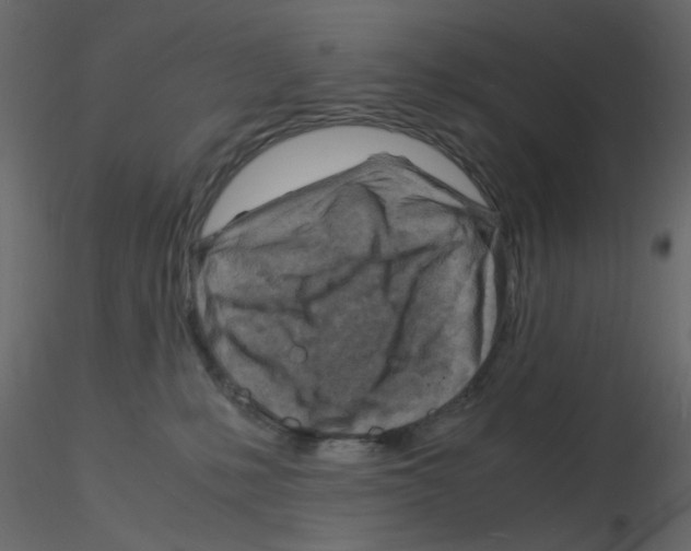 X0000115840231200912242023