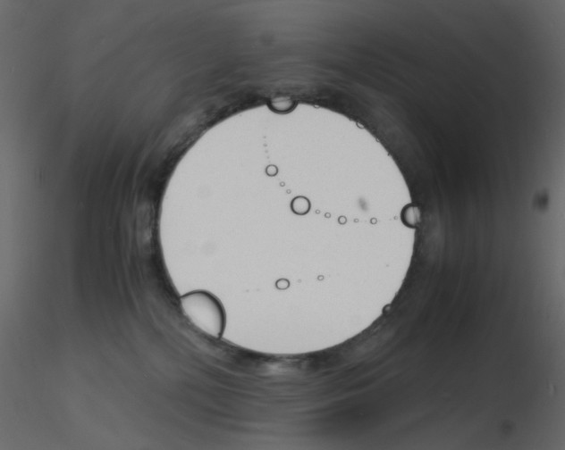 X0000115840232200912242023