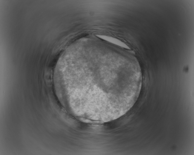 X0000115840233200912242023