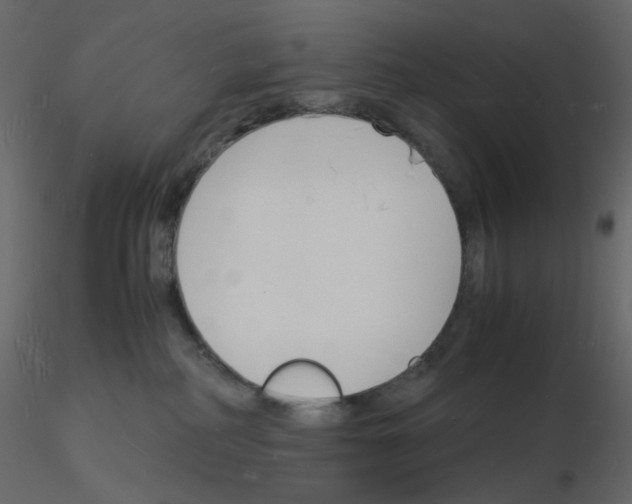 X0000115840234200912242023