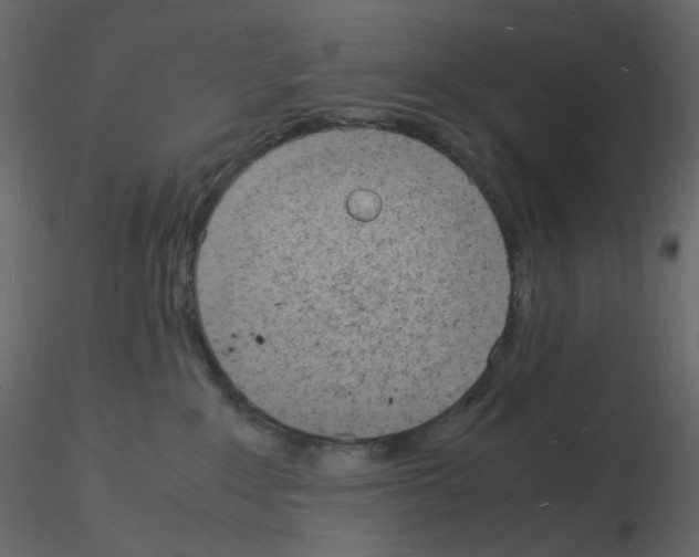 X0000115840235200912242023