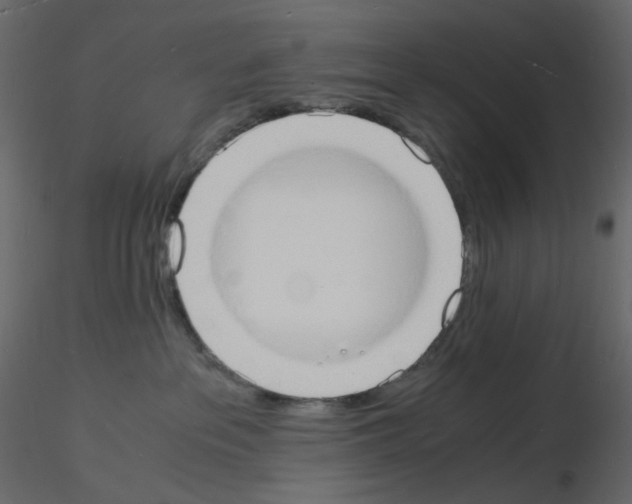 X0000115840237200912242023