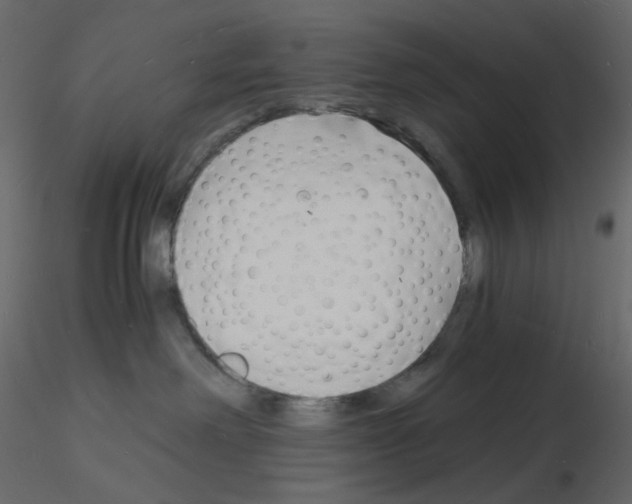 X0000115840238200912242023