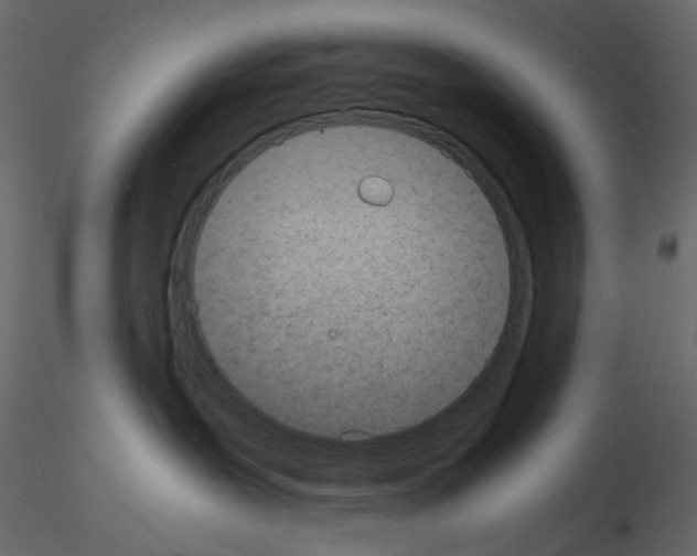 X0000115840239200912242023