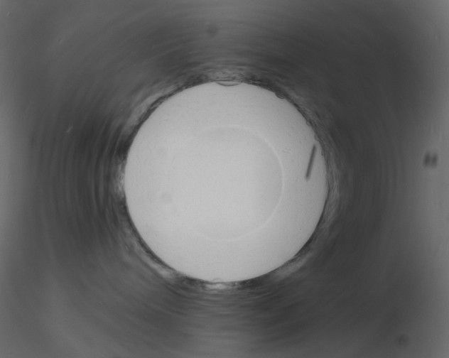 X0000115840240200912242023