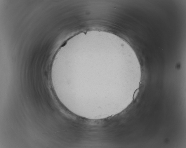 X0000115840241200912242022