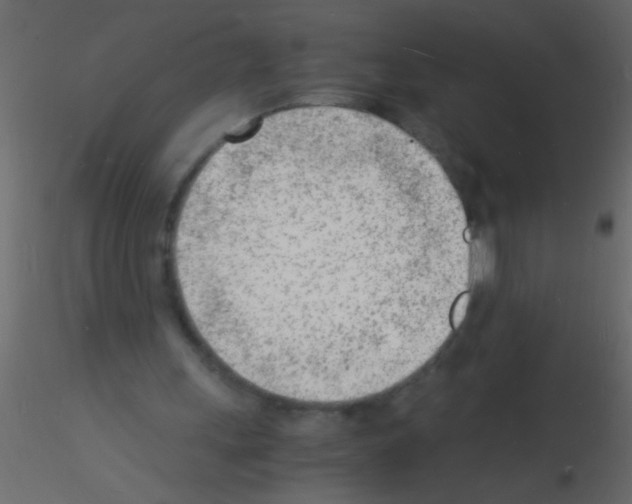 X0000115840243200912242022