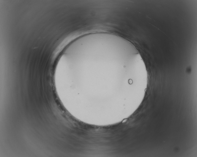 X0000115840244200912242022