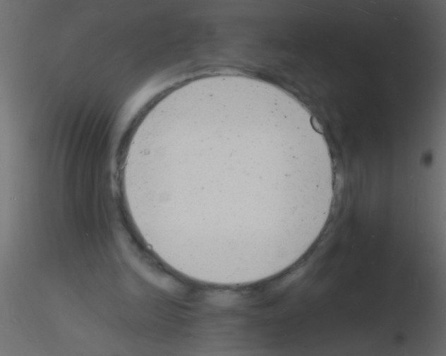 X0000115840246200912242023