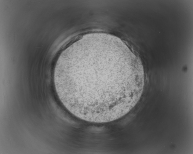 X0000115840247200912242023