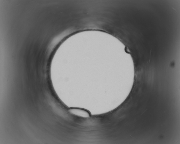 X0000115840248200912242023