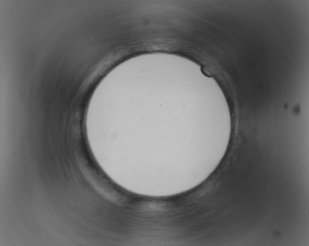 X0000115840250200912242023