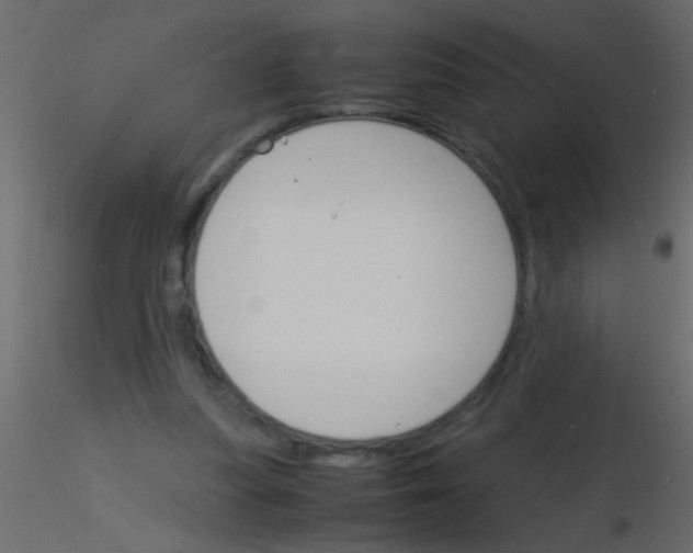 X0000115840251200912242023