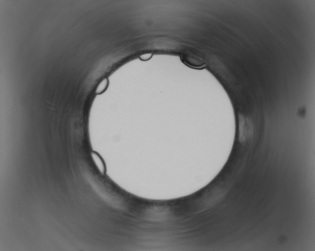 X0000115840252200912242023