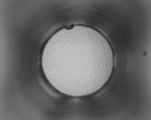 X0000115840253200912242023