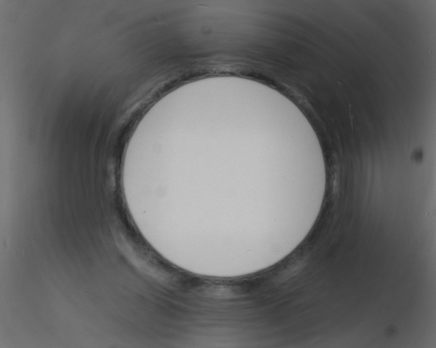 X0000115840254200912242023