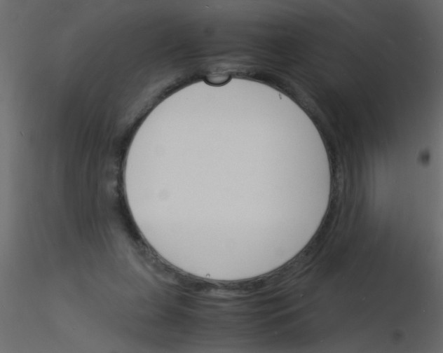 X0000115840255200912242023