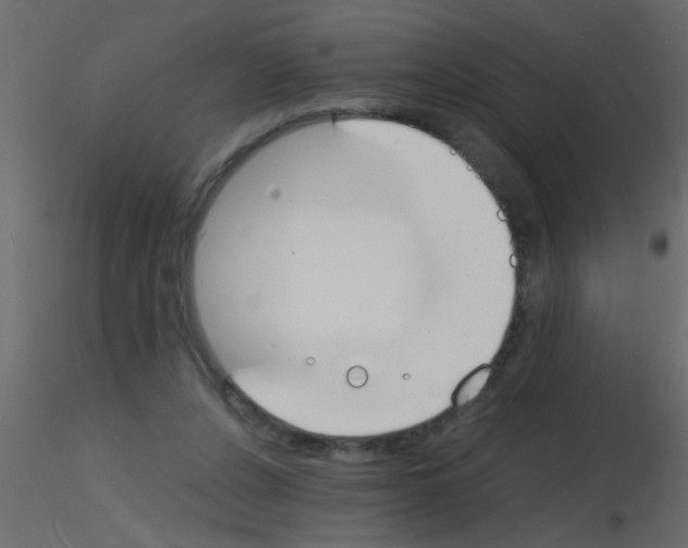 X0000115840256200912242023