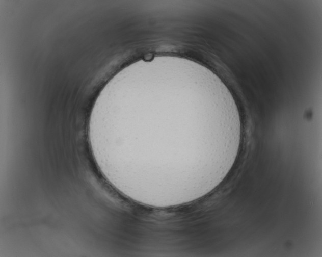 X0000115840257200912242023