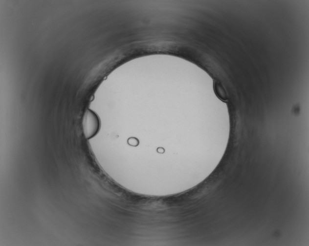 X0000115840258200912242023