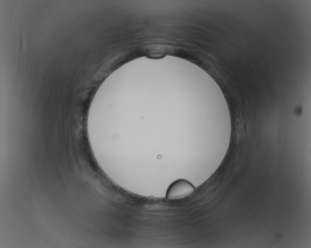 X0000115840259200912242023