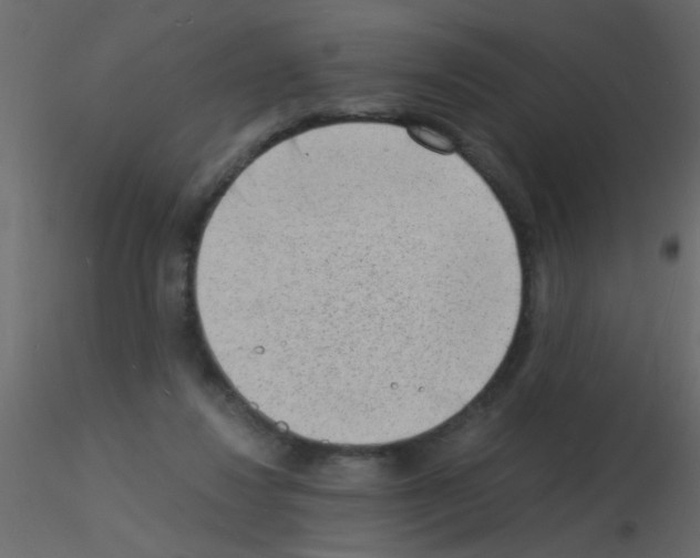 X0000115840260200912242023