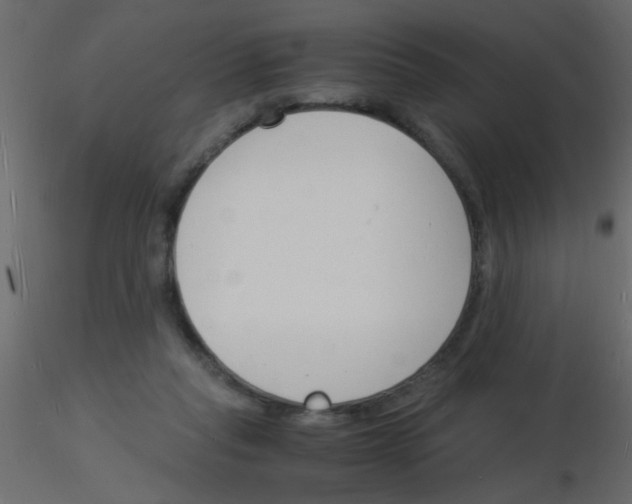 X0000115840261200912242023