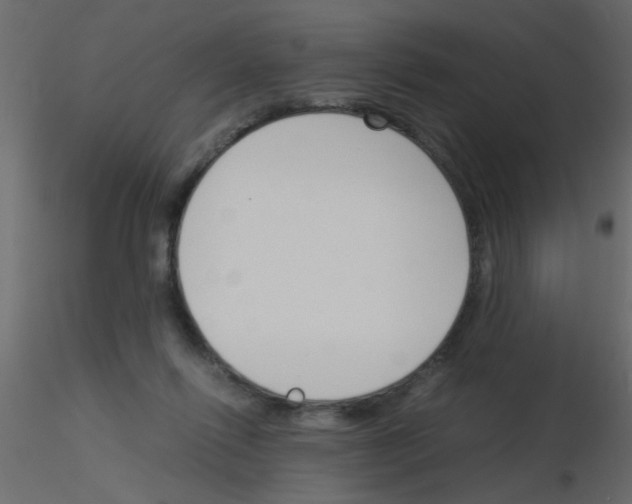 X0000115840262200912242023