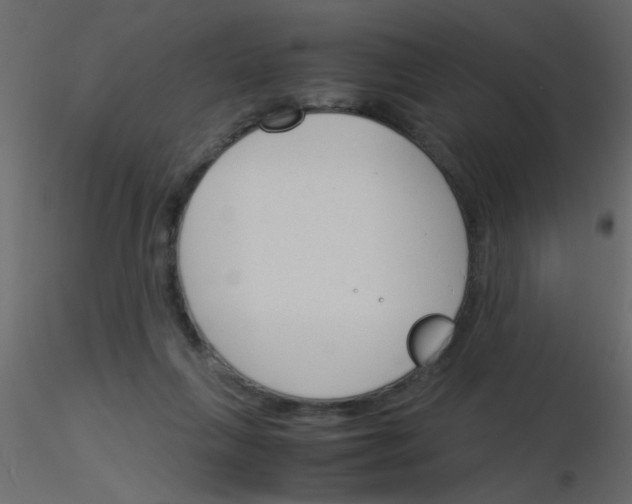 X0000115840263200912242023