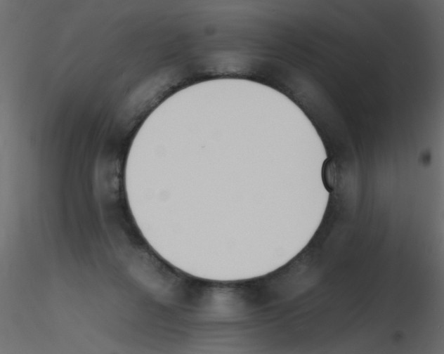 X0000115840264200912242023