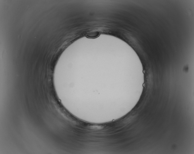 X0000115840265200912242023