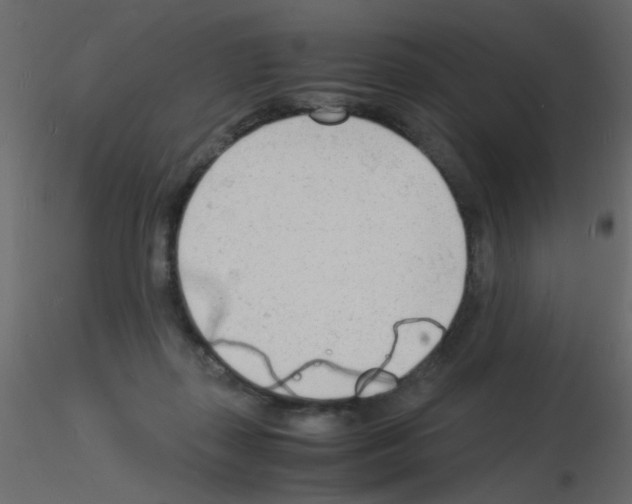 X0000115840267200912242023