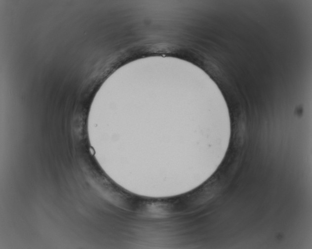 X0000115840268200912242023