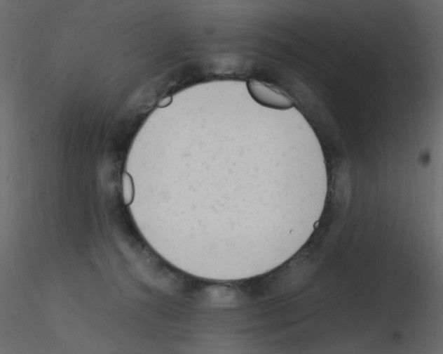 X0000115840272200912242023