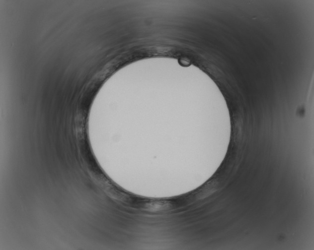 X0000115840274200912242023