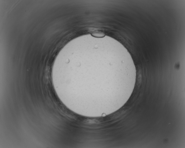 X0000115840275200912242023