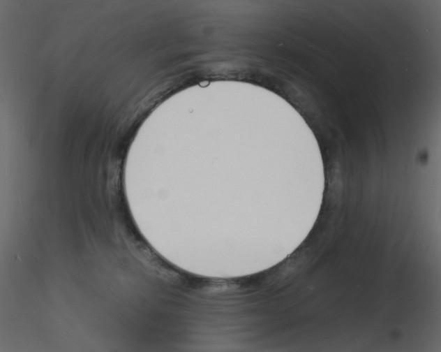 X0000115840278200912242023